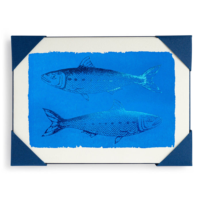 Sardines Pack