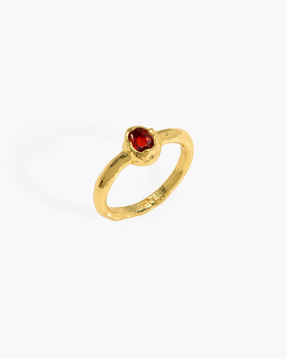 Birthstone Ring in Gold - January