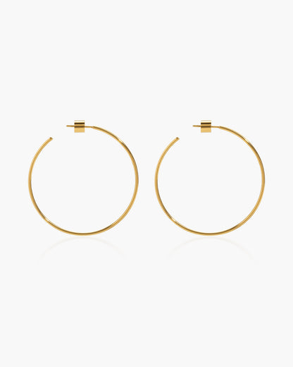 Gold Skinny Hoop Earrings
