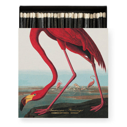 American Flamingo Matches