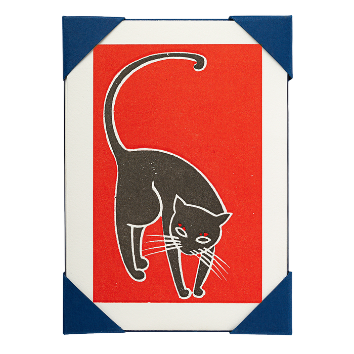 Black Cat Pack