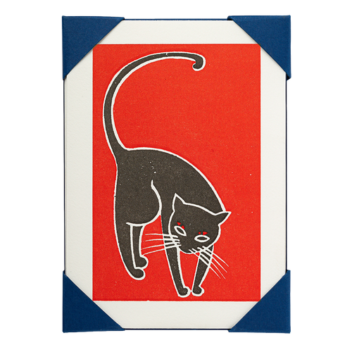 Black Cat Pack