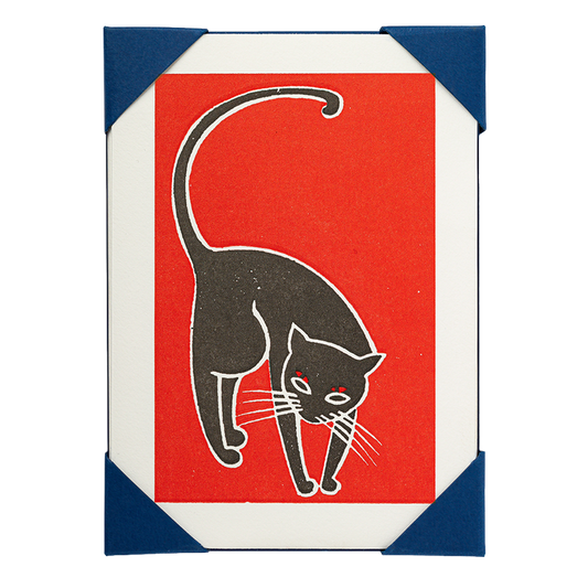 Black Cat Pack