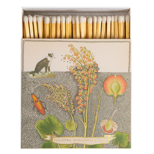 Chien Botanical Drawing Matches