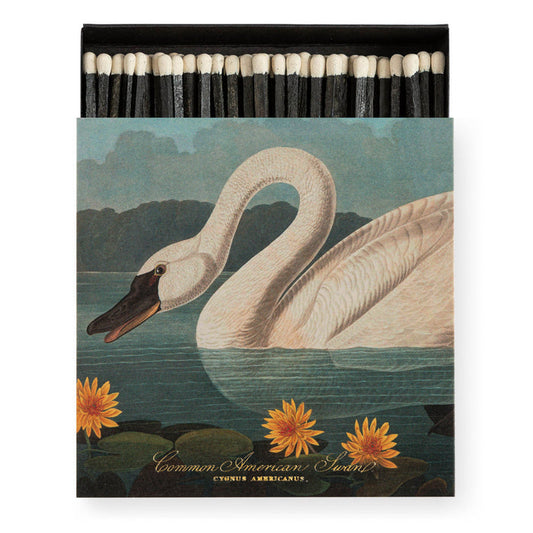 Common American Swan Matches
