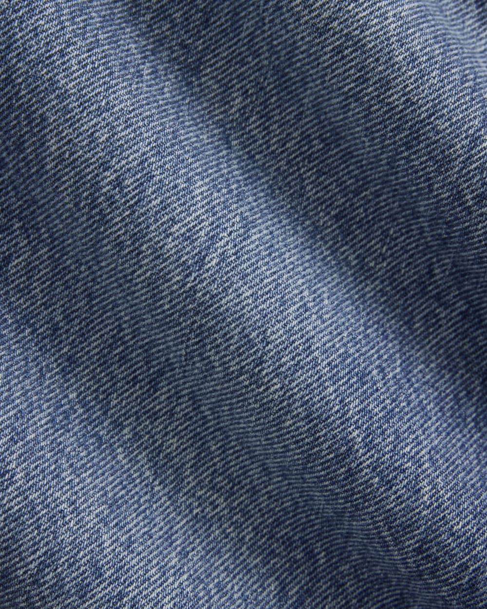 Everlane x Elena Bonvicini La Brea Low-Rise Baggy Jean | Blue Bird Indigo