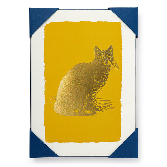Gold Cat Pack