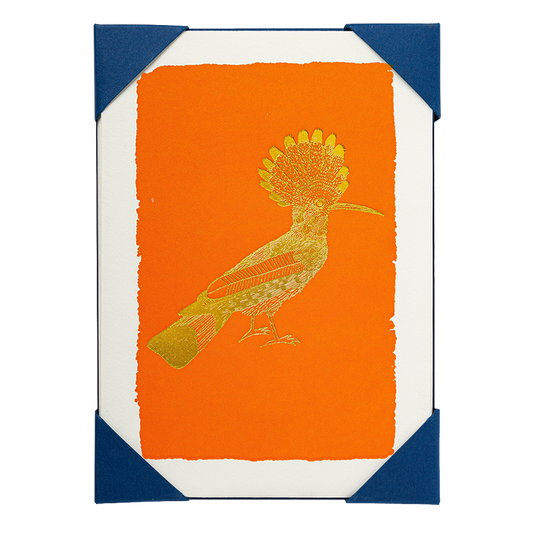 Gold Hoopoe Pack