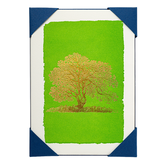 Gold Oak Tree Pack