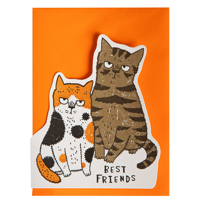 Grumpy Cats