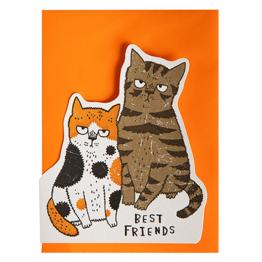Grumpy Cats