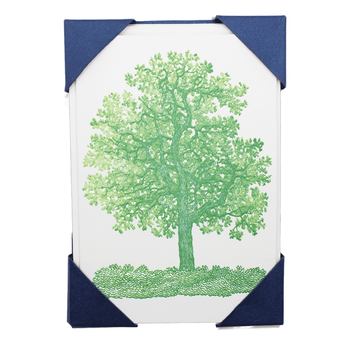 Oak Tree Pack