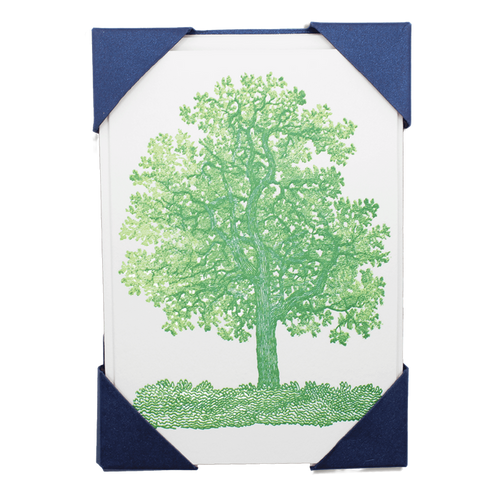 Oak Tree Pack