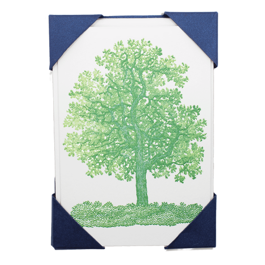 Oak Tree Pack