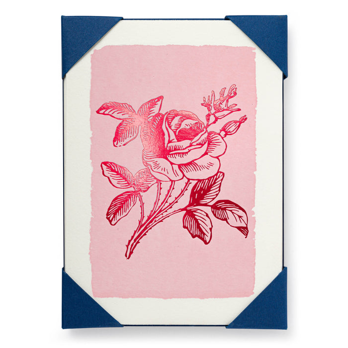 Pink Rose Pack