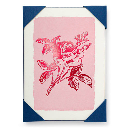 Pink Rose Pack
