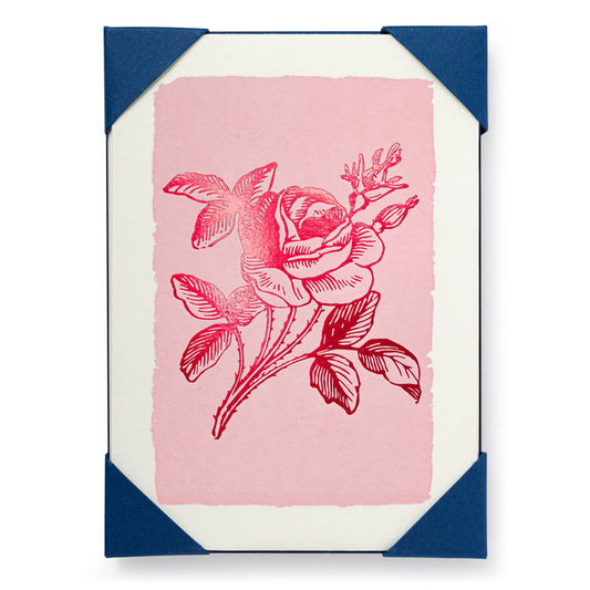 Pink Rose Pack