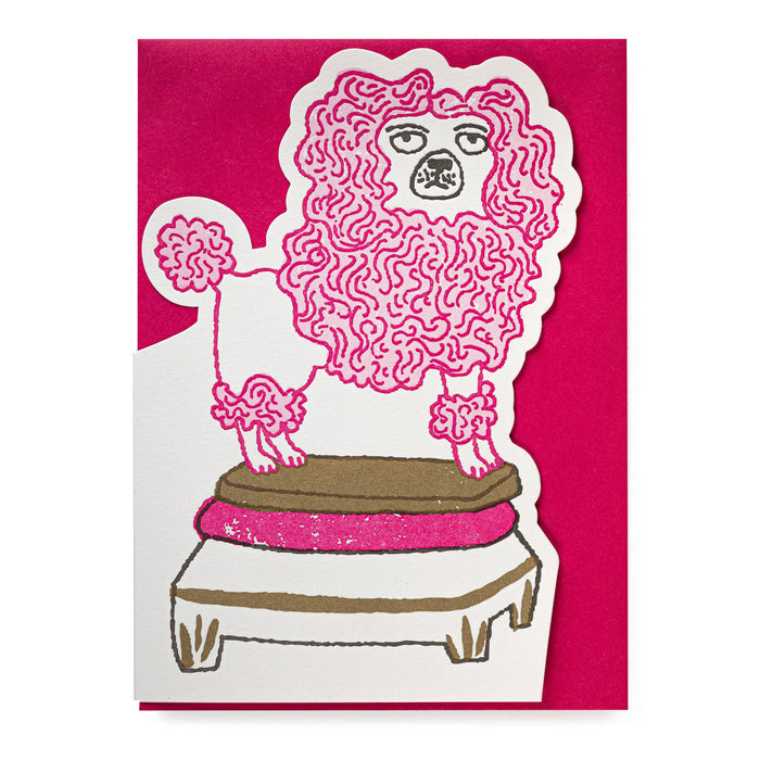 Poodle