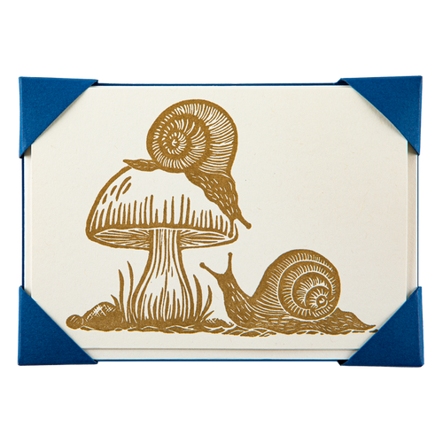 Snails and Mushrooms