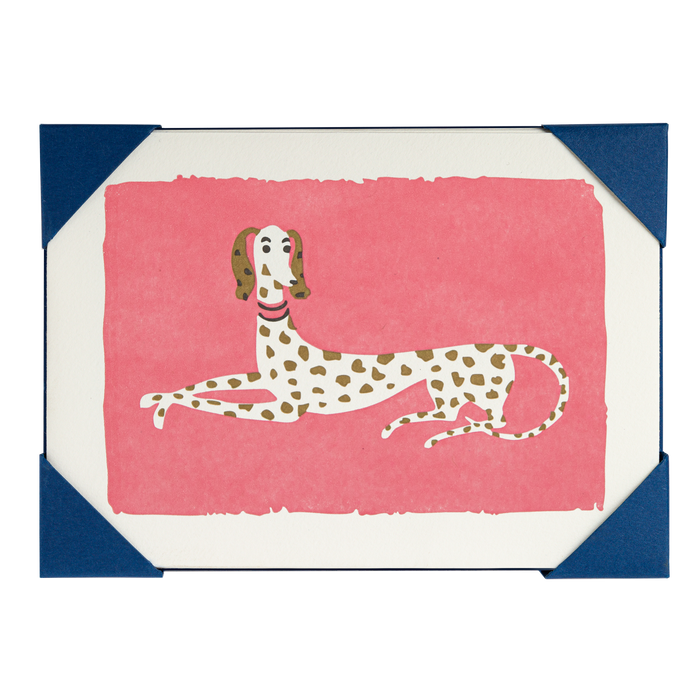 Spotty Dog