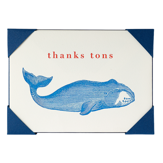 Thank You Whale Pack
