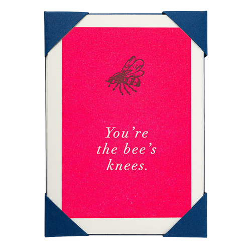 You're The Bees Knees Pack