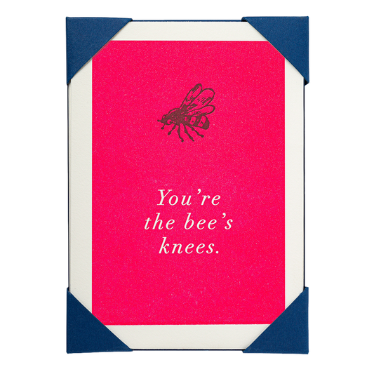 You're The Bees Knees Pack